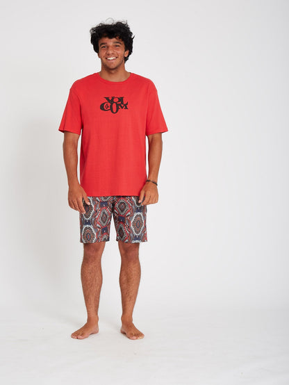 Natural Visions Stoney 19" Boardshorts - China Blue