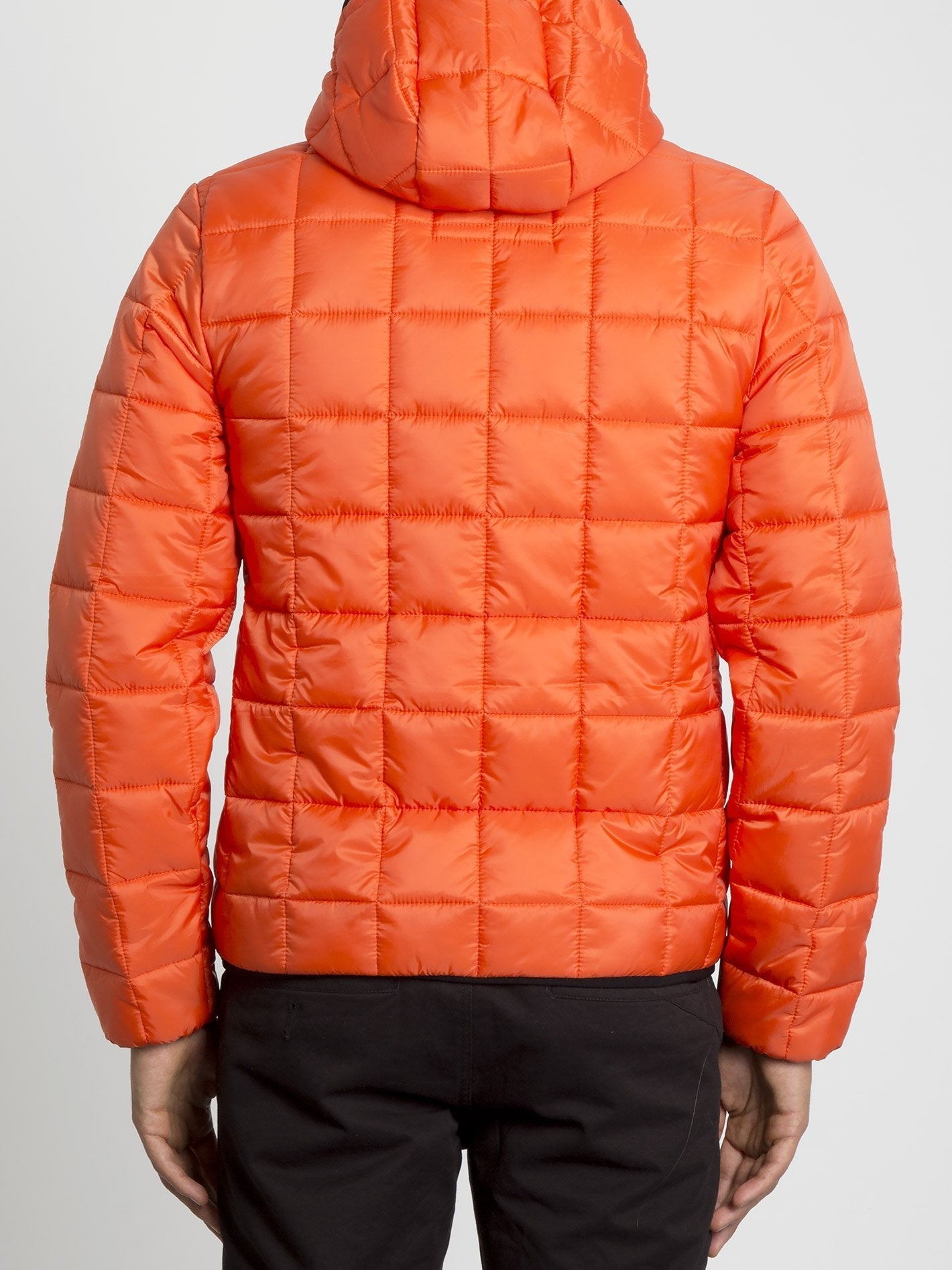 Veste Volpoferized - Tigerlily