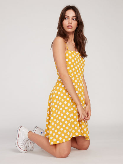 Robe Read The Room - DOT