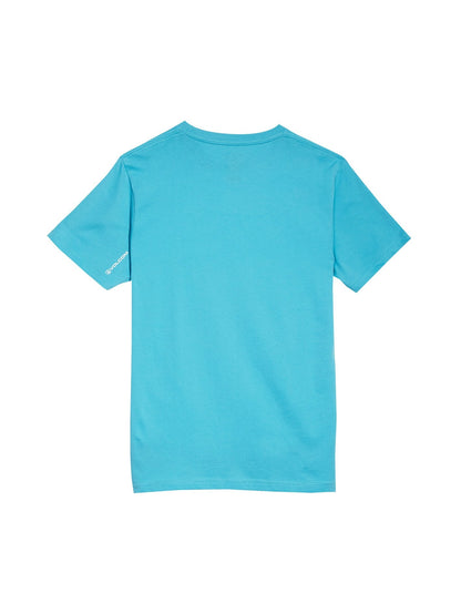 Pixel-Stone-BSC-SS-Blue-Bird (Kind)