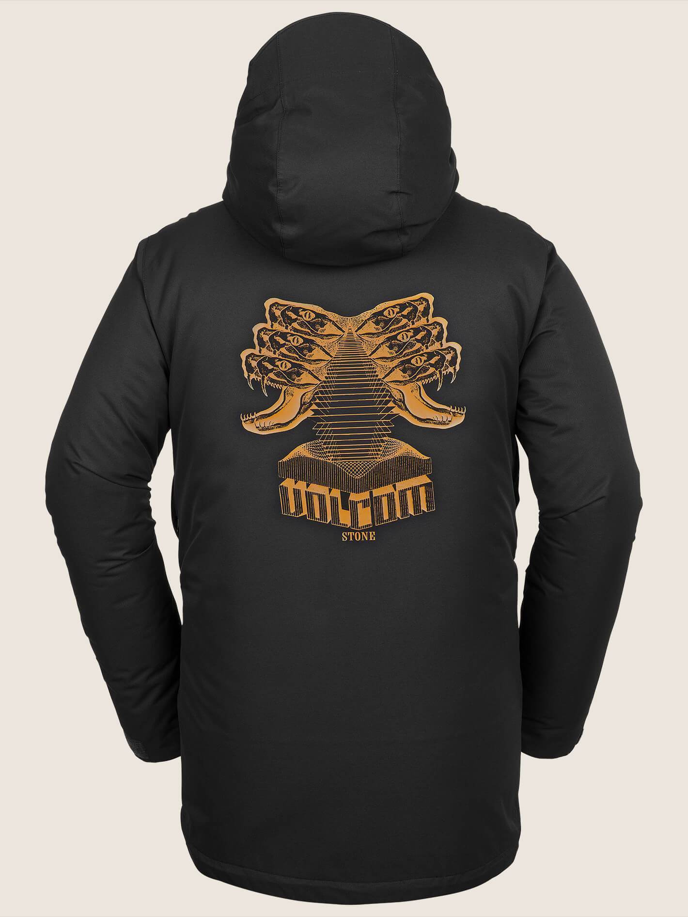 Veste de snow Analyzer Ins  - Black