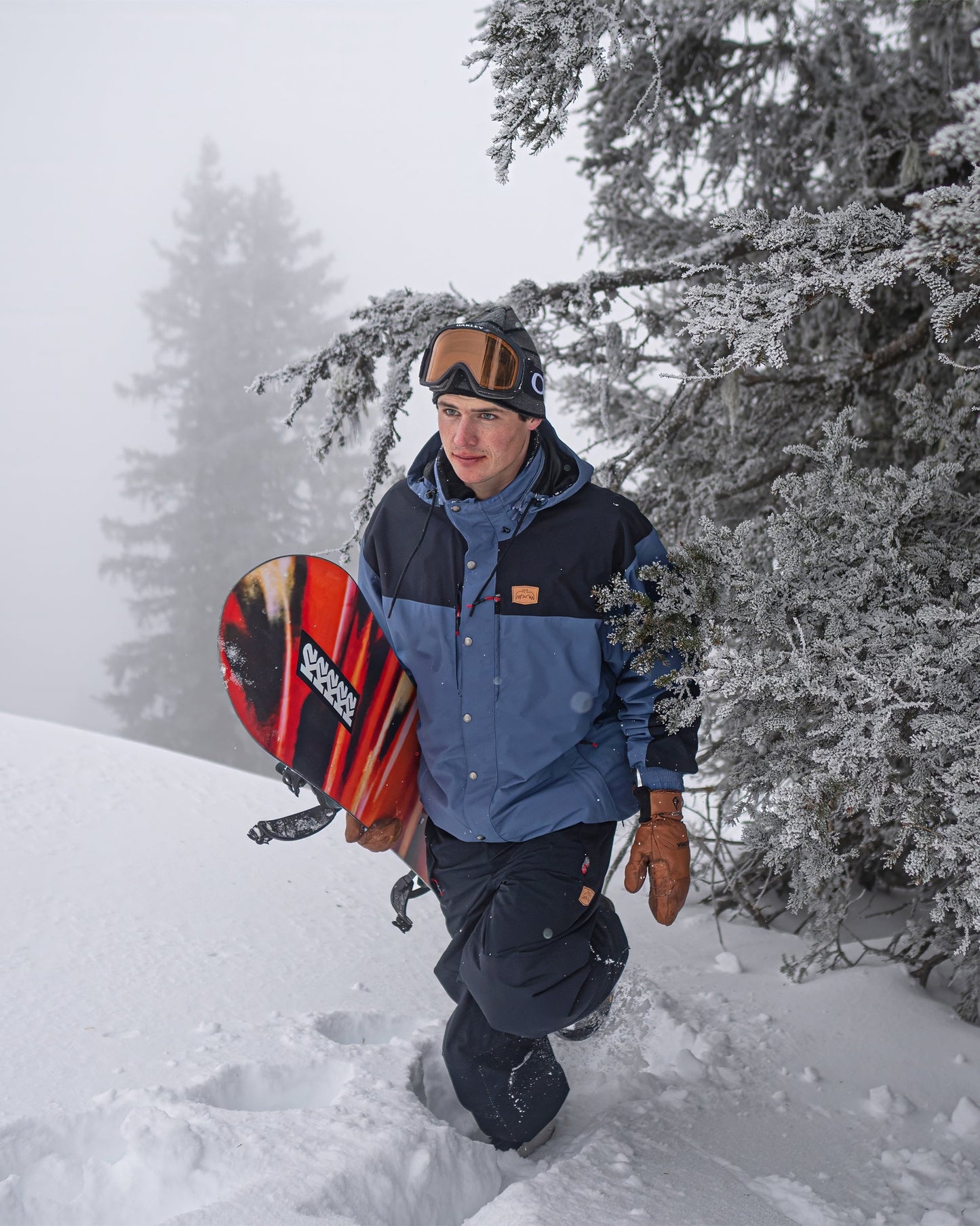 Veste Longo Gore-Tex - Indigo