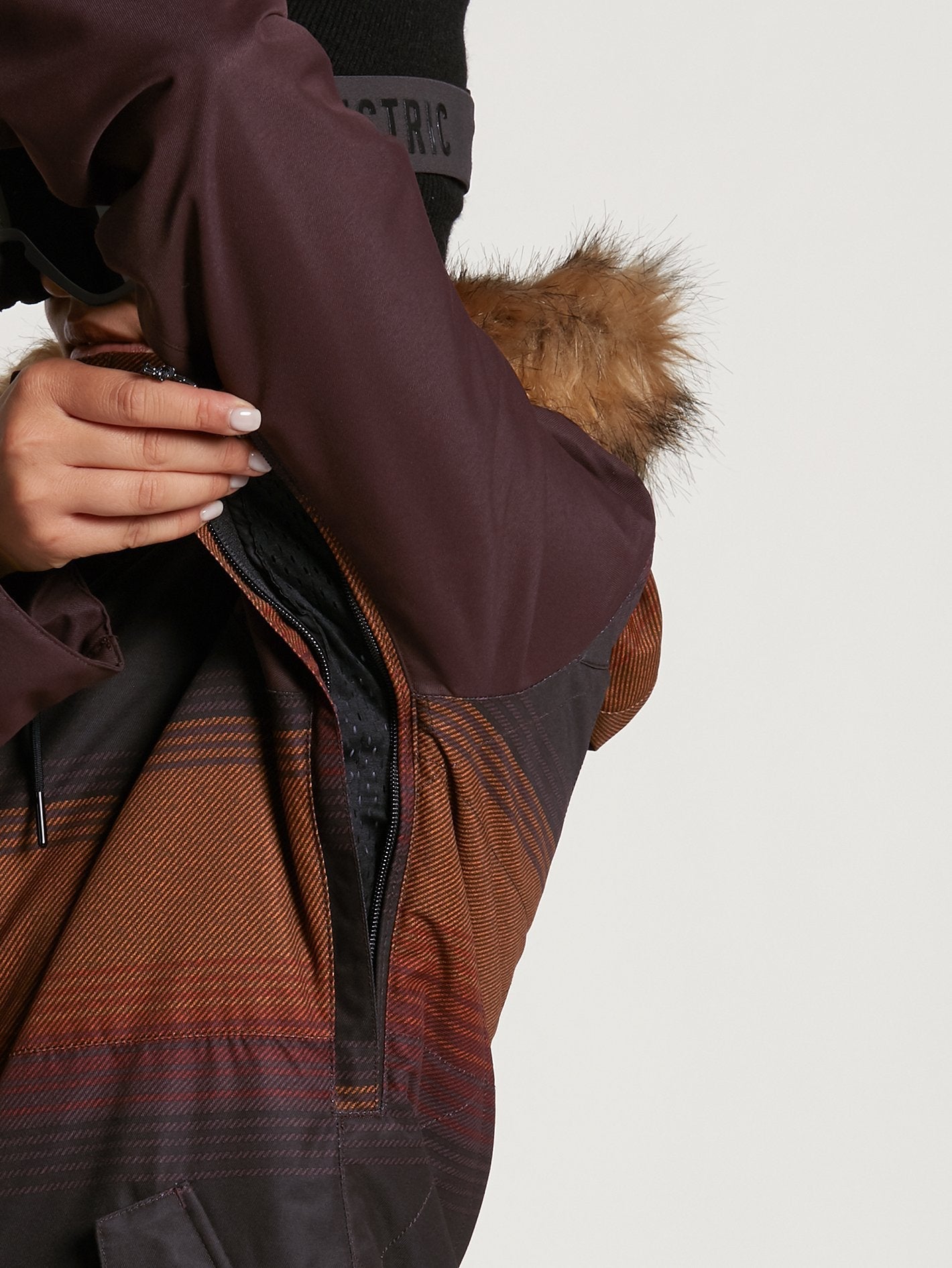 Fawn Isolierte Schneejacke - Knochen
